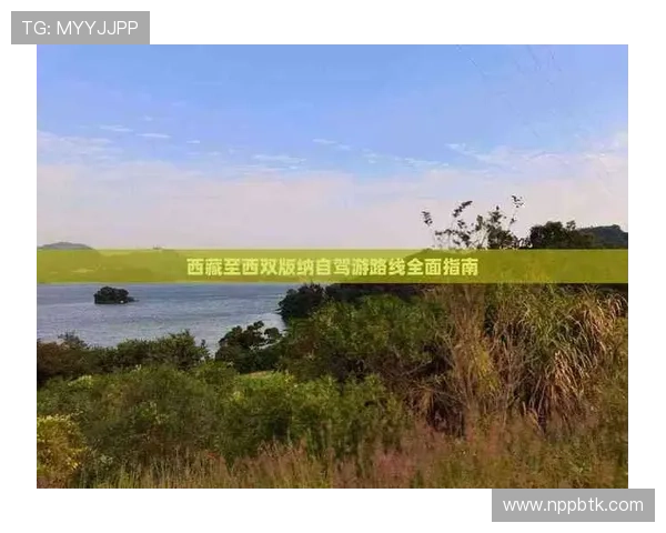 AG亚官游会员登录入口全面指南帮助玩家快速安全登录账号